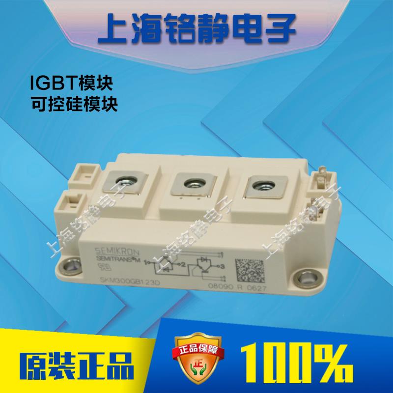 SKM300GB123D