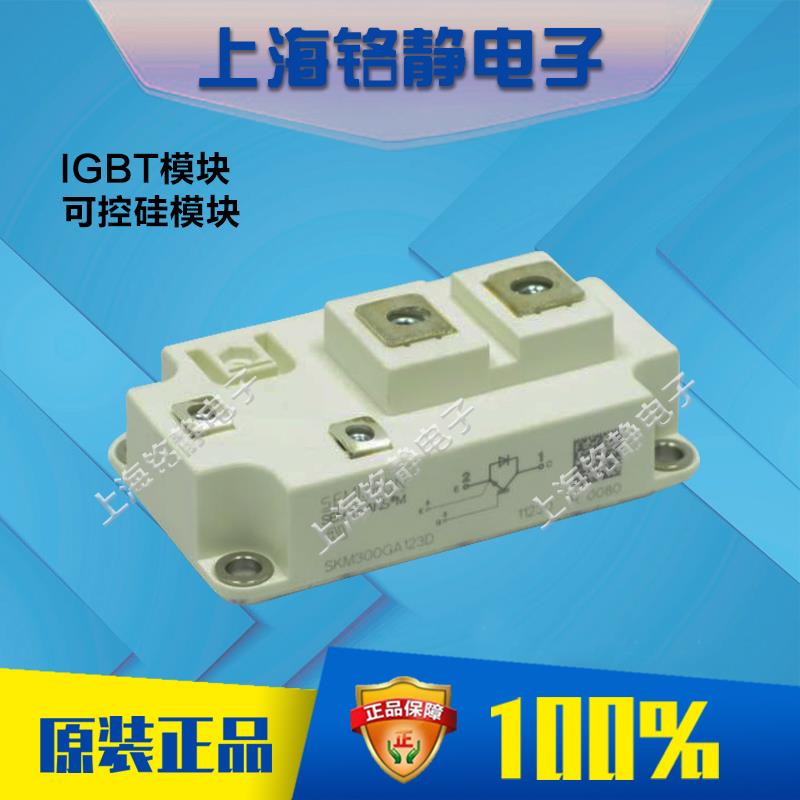 SKM300GAL123D